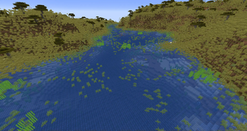 A Large Area of Floating Grasses