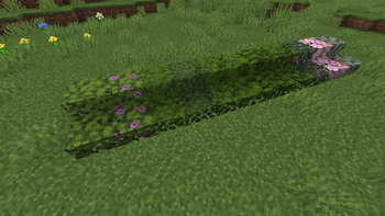 All leaves placed in a row, as of 1.21.4