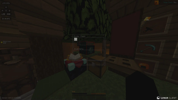 Chest