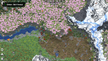 Xaero's WorldMap