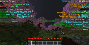 BetterF3 screen