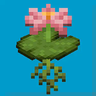 Water Lilies!