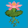 Water Lilies!