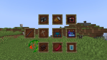 The Items Included