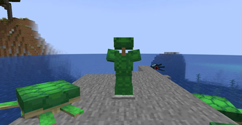 Turtle Armor