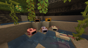 Main Axolotl Textures