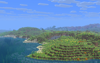 Improved Sunflower Fields