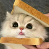 Real_Chargii