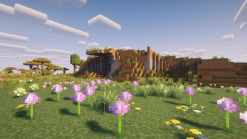Shader Compatibility 