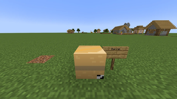 barrel
