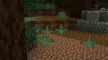 Podzol + Coarse Dirt