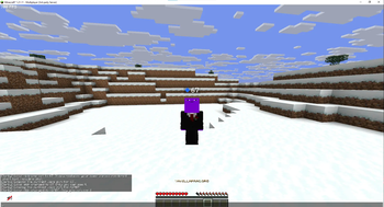 How It Looks