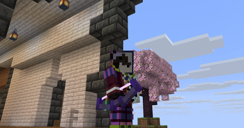 Diferent Model: Black Bow