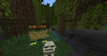 Beelzebufo and frog