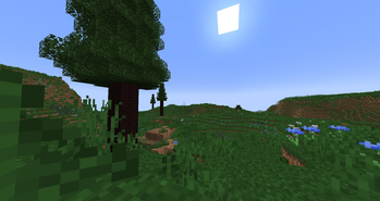 Cooksonia plains