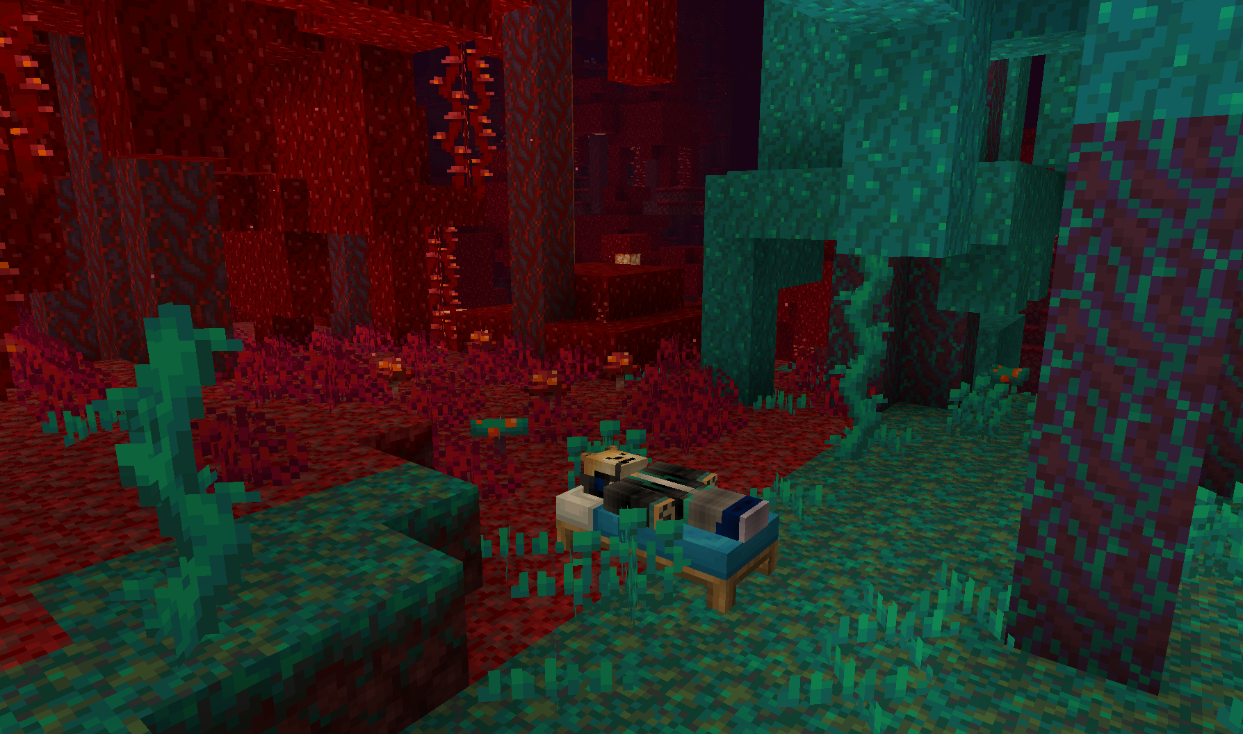 Infinidoge's player is sleeping in a bed in the Nether between a Crimson Forest and a Warped Forest.