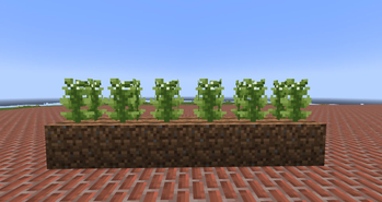 Crops!
