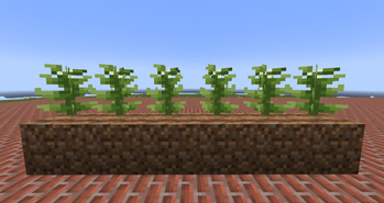 Crops... but Crossed!
