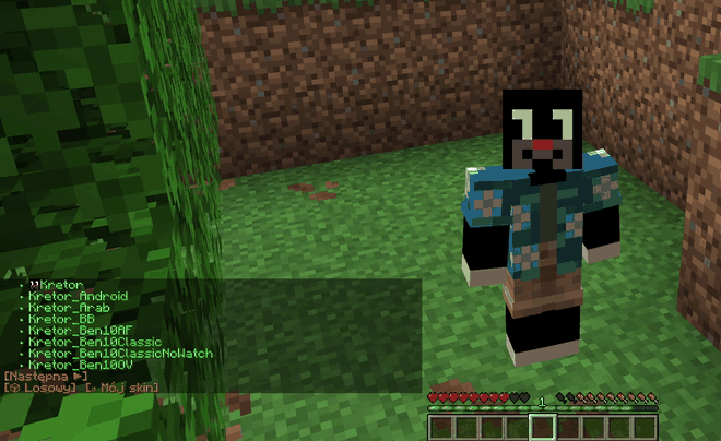 SkinLibrary — screenshot 1