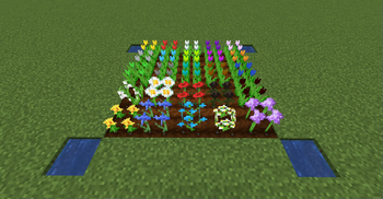 FlowerCrops