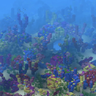 Ocean Only Generation