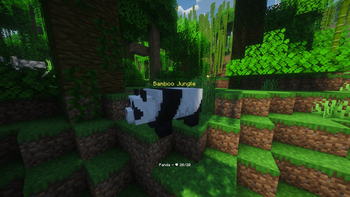Mob's Health