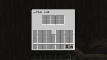 Leather Bag Storage Ui