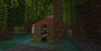 Hermit Hut