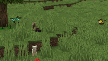 Many Animals