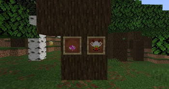 This version's items