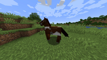 Horse with Saddle
