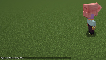 /ride bypass