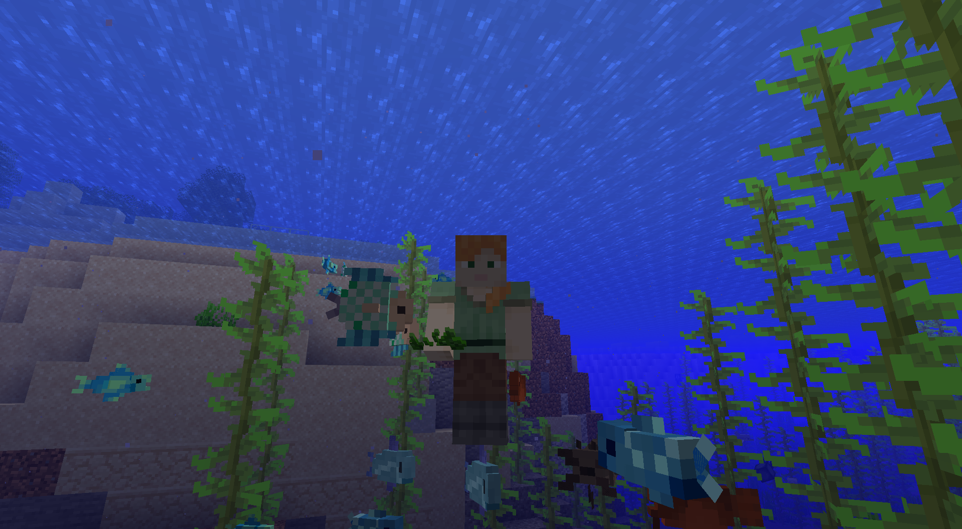 Fish Frenzy Screenshot