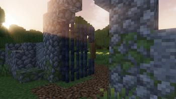 Build example
