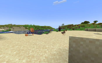 Vibrant beaches