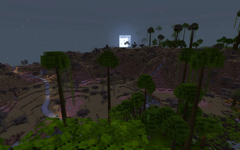 Where the Moon casts...