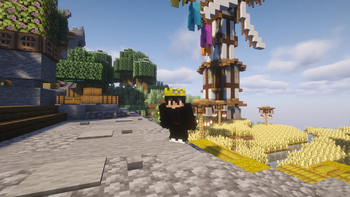The idiots smp ADDONS