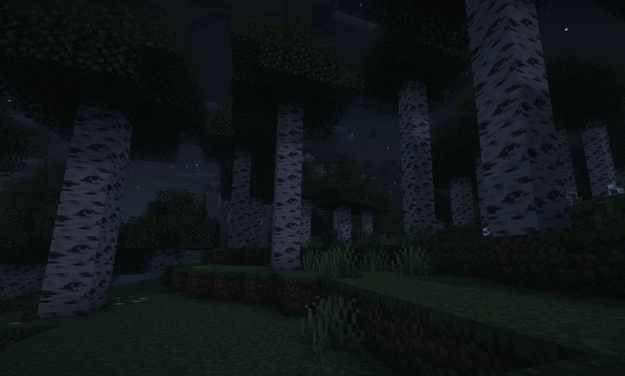 Blinking birch