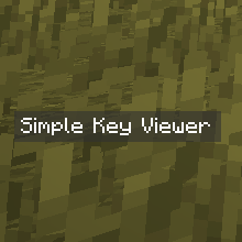 Simple input Viewer
