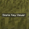 Simple input Viewer