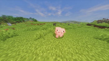 Visual & Stuff Screenshot 3