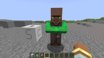 Trash 2 Cash villager