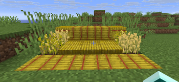 Preview (latest )