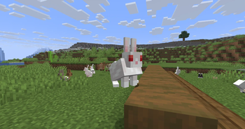 Jam's Rabbit Eyes