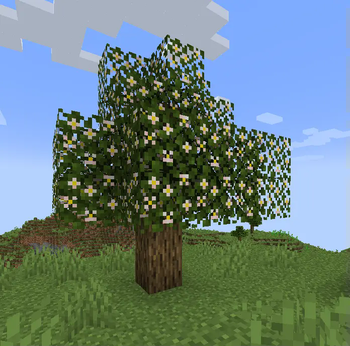 Flowering Apple Tree