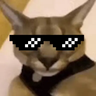 STGHECKER