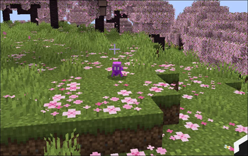 purple allay playing in the grass
