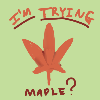 I'm Trying