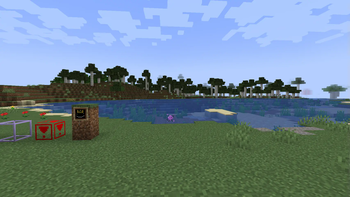 The Particles!