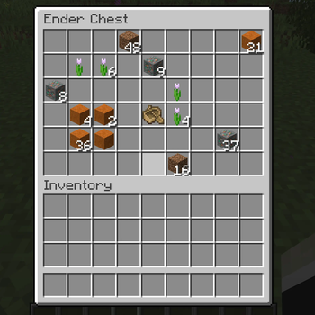 Expanded 54-Slot Ender Chest Preview